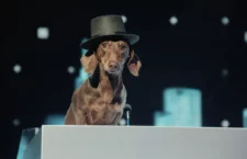 Teckel Mr Doodlesworth campagne publicitaire Citroën 2034 Election