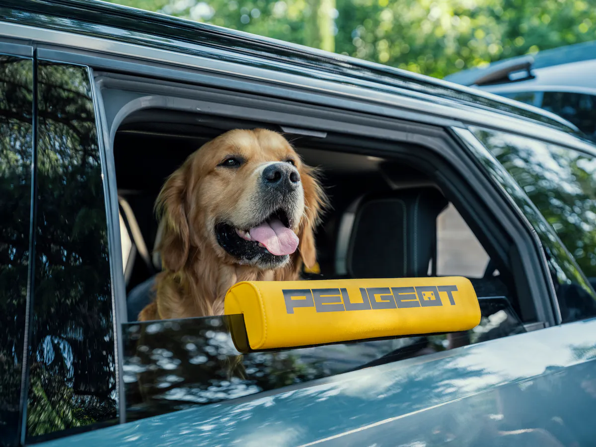 peugeot-e-5008-dog-edition-concept-profil-chien