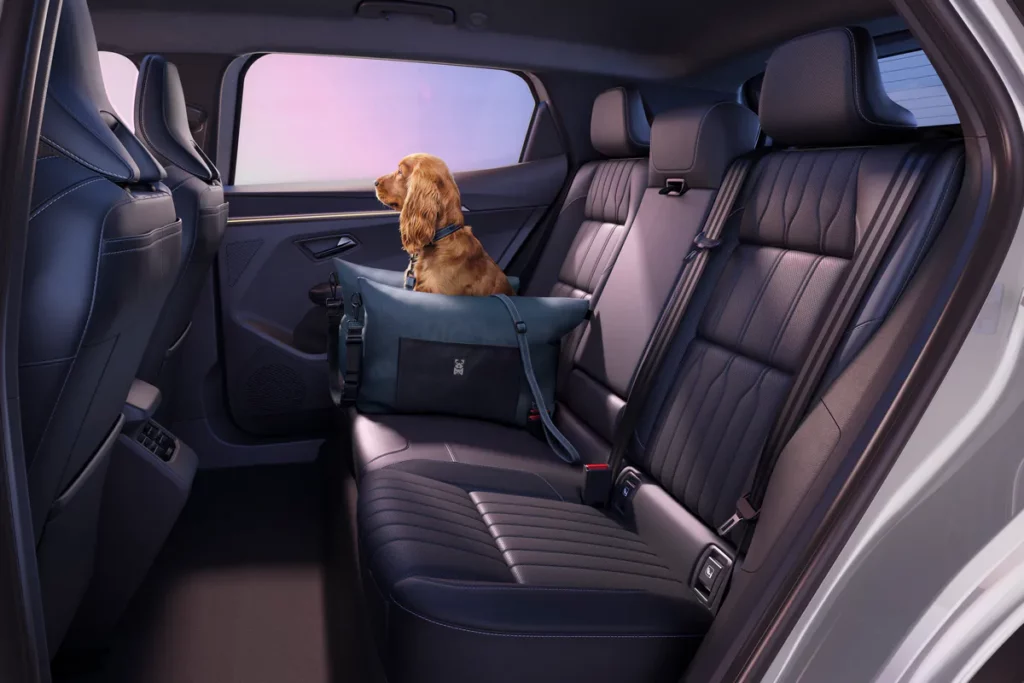 accessoires-animaux-renault-scenic-2026